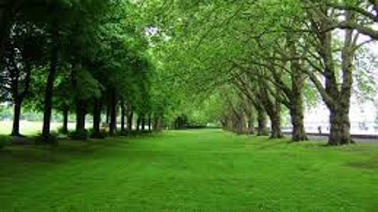 Bangladesh comes up with 'Anger Management Park' to cope with pollution & stress