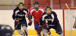 North Korea won't hold joint Olympic performance on own soil: South Korea