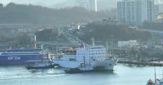 Winter Olympics: North Korean art troupe hit by protests in South