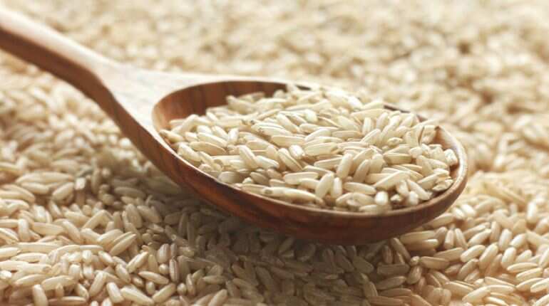 Cambodia, Myanmar hit out at tough EU rice tariffs