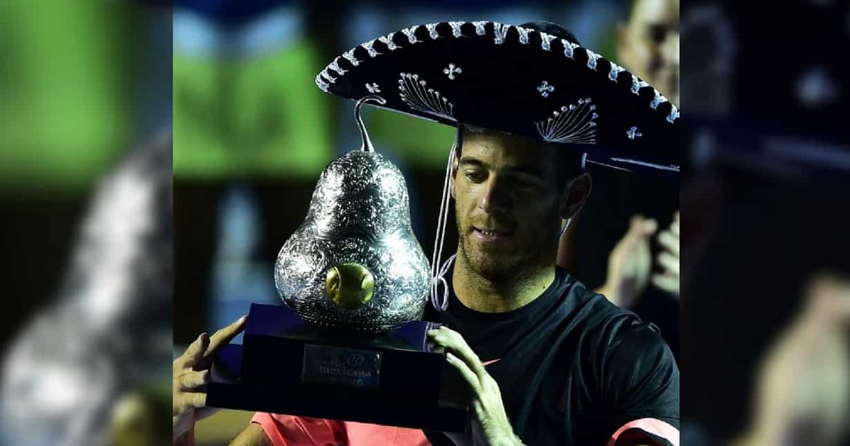 Del Potro foils Anderson to claim Mexican Open