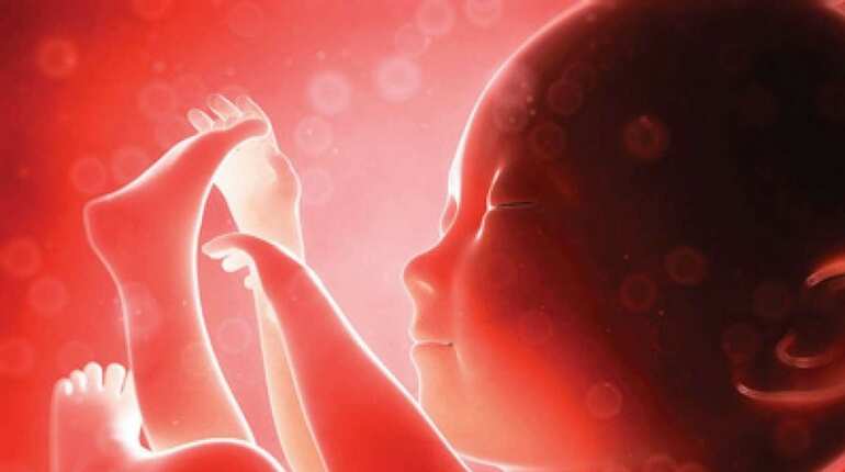 Missouri secretary of state blocks referendum on 'heartbeat' abortion law