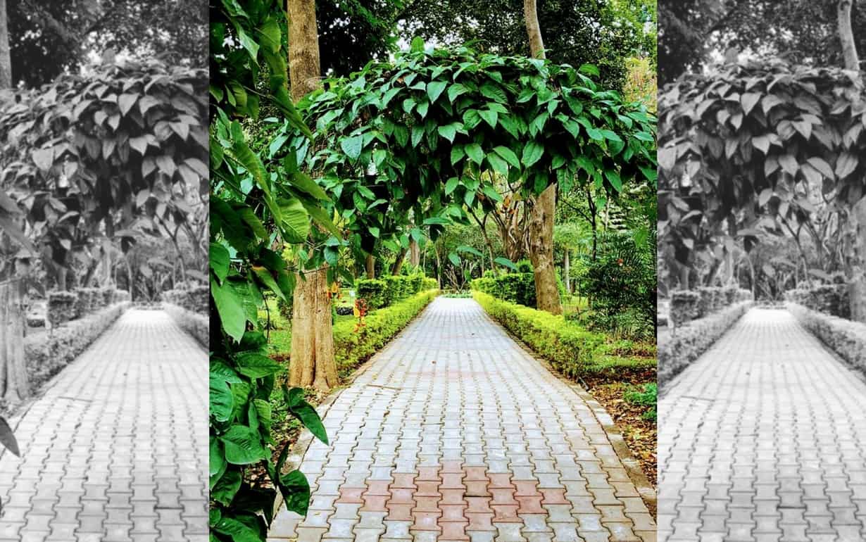 Indian Institute of Management, Bangalore