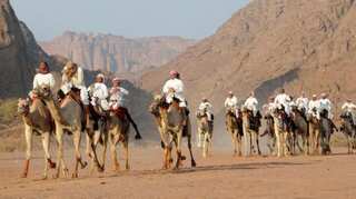 Saudi Arabia plans to issue tourist visas in April