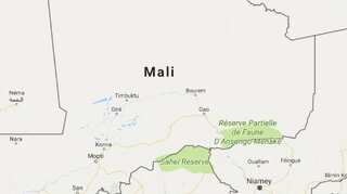 Amnesty calls on Mali to probe extrajudicial killings