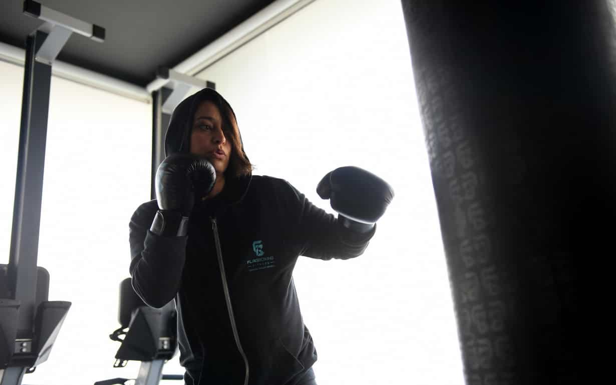 Certified boxer