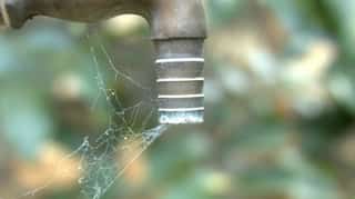 Companies along Chennai’s IT corridor ratchet up measures to reduce water consumption amid severe shortage