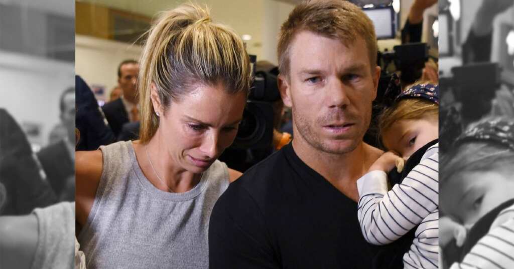 'It's all my fault and it's killing me,' says David Warner's wife Candice