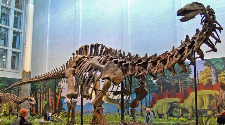 Footprints of 'world's largest dinosaur' discovered in Scotland Footprints of 'world's largest dinosaur' discovered in Scotland