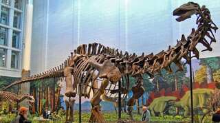 Footprints of 'world's largest dinosaur' discovered in Scotland