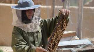 19-year-old Afghan schoolgirl earns more than country's average per capita income
