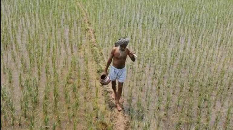 Heavy rainfall causes severe damage to crops