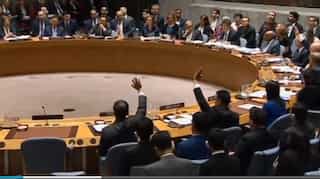 Russia fails in UNSC bid to condemn US-led strikes on Syria