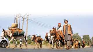 25 mobile schools to migrate with nomads in Jammu and Kashmir