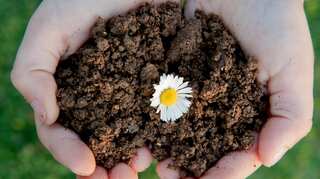Earth Day: Everything you want to know