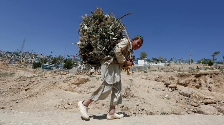 Afghanistan's poverty rate rises as economy suffers Afghanistan's poverty rate rises as economy suffers