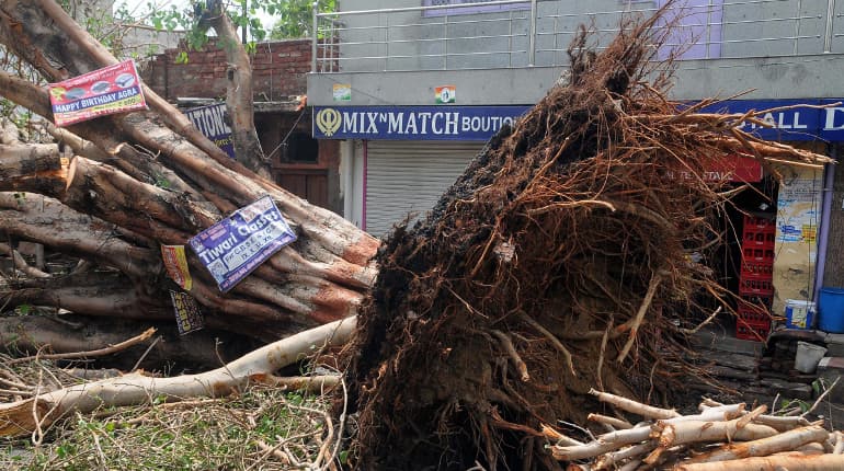 At least 106 dead in dust storm in Uttar Pradesh, Rajasthan