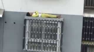 Watch: Chinese boy sleeps on fifth-floor window ledge after argument with father 