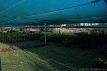 With over 1 lakh trees, this place in Telangana derives positive energy of trees for meditation With over 1 lakh trees, this place in Telangana derives positive energy of trees for meditation