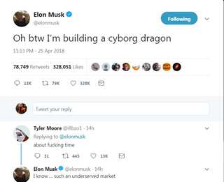 Elon Musk promises free rides through tunnel, but to where?