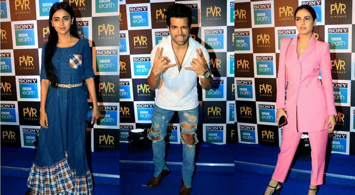 Blue carpet screening of the Blue Planet 2