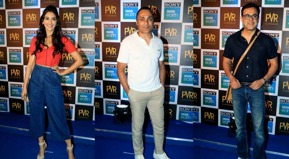 Blue carpet screening of the Blue Planet 2