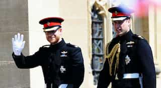 Prince William, Harry to split paths as they no longer depend on one another