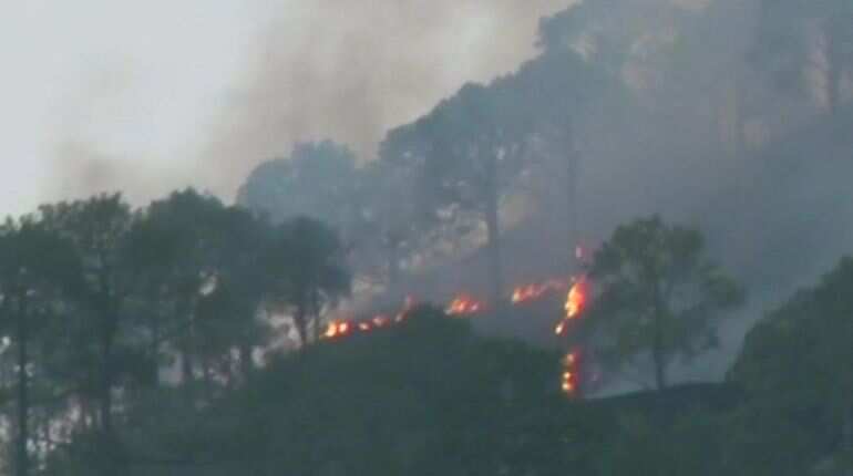 Jammu and Kashmir: Massive fire in Trikuta hills, Vaishno Devi yatra affected Jammu and Kashmir: Massive fire in Trikuta hills, Vaishno Devi yatra affected