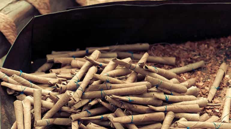Tobacco is harmful for the environment