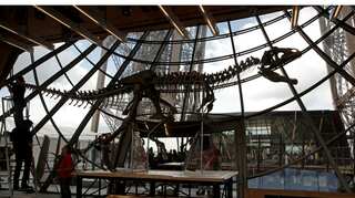 150-million-year old dinosaur skeleton sells for 2 million euros
