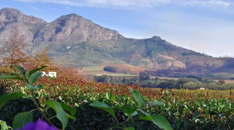 South Africa relaxes visa rules to attract investors, tourists South Africa relaxes visa rules to attract investors, tourists