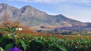 South Africa relaxes visa rules to attract investors, tourists