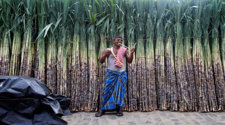 Government unveils measures to help sugar mills, woo farmers