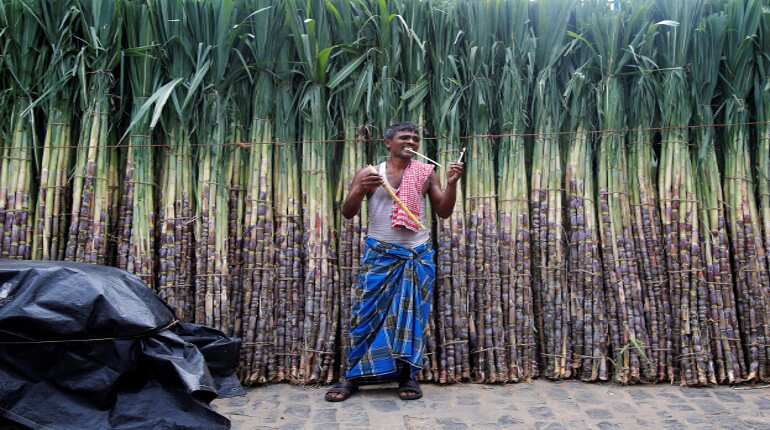 Government unveils measures to help sugar mills, woo farmers