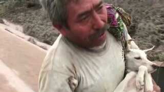 Guatemala man returns to volcano-hit village to rescue dog