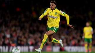 Cardiff City signs winger Josh Murphy