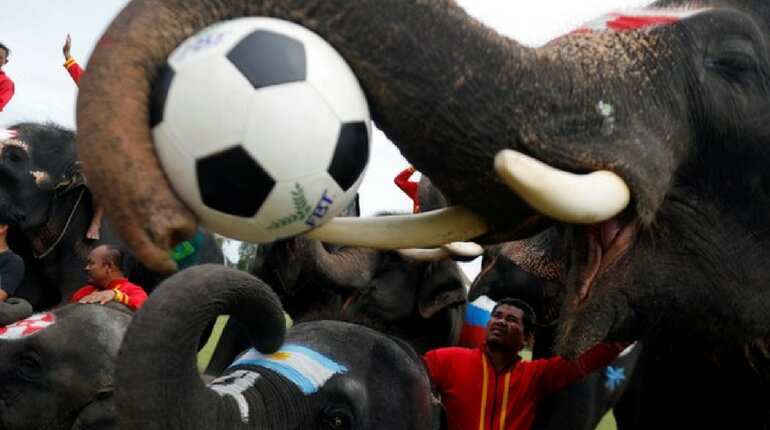 'Betting on soccer is so easy in Thailand'