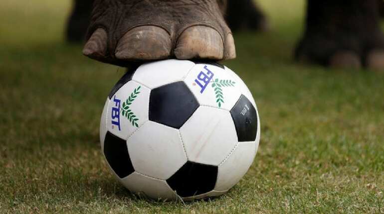 World Cup was more about enjoying the sport than betting on teams
