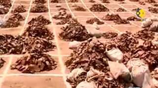 Watch: Rakhigarhi DNA findings suggest no Aryan invasion in India  