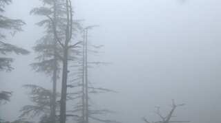 Heavy flooding, low visibility in Himachal