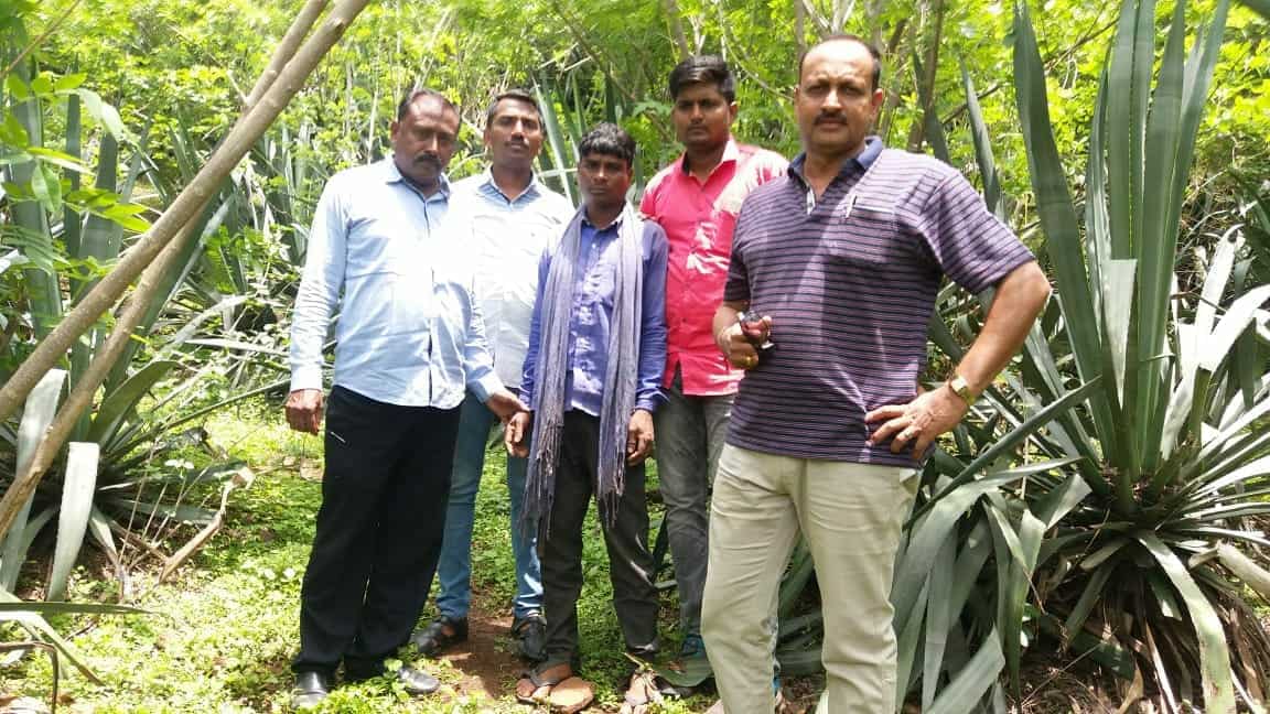 Maharashtra: 26 including main accused arrested in Dhule lynching incident Maharashtra: 26 including main accused arrested in Dhule lynching incident