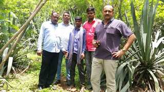 Maharashtra: 26 including main accused arrested in Dhule lynching incident