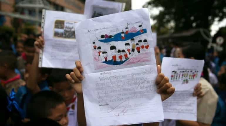 'All Wild Boars Saved'