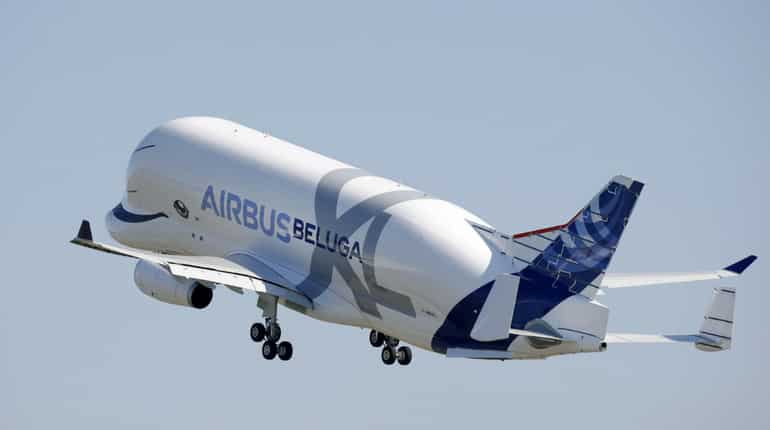 'Whale in the sky'
