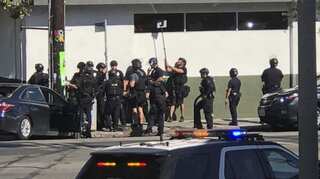 Helicopter carrying human organs crashed in Los Angeles; pilot injured