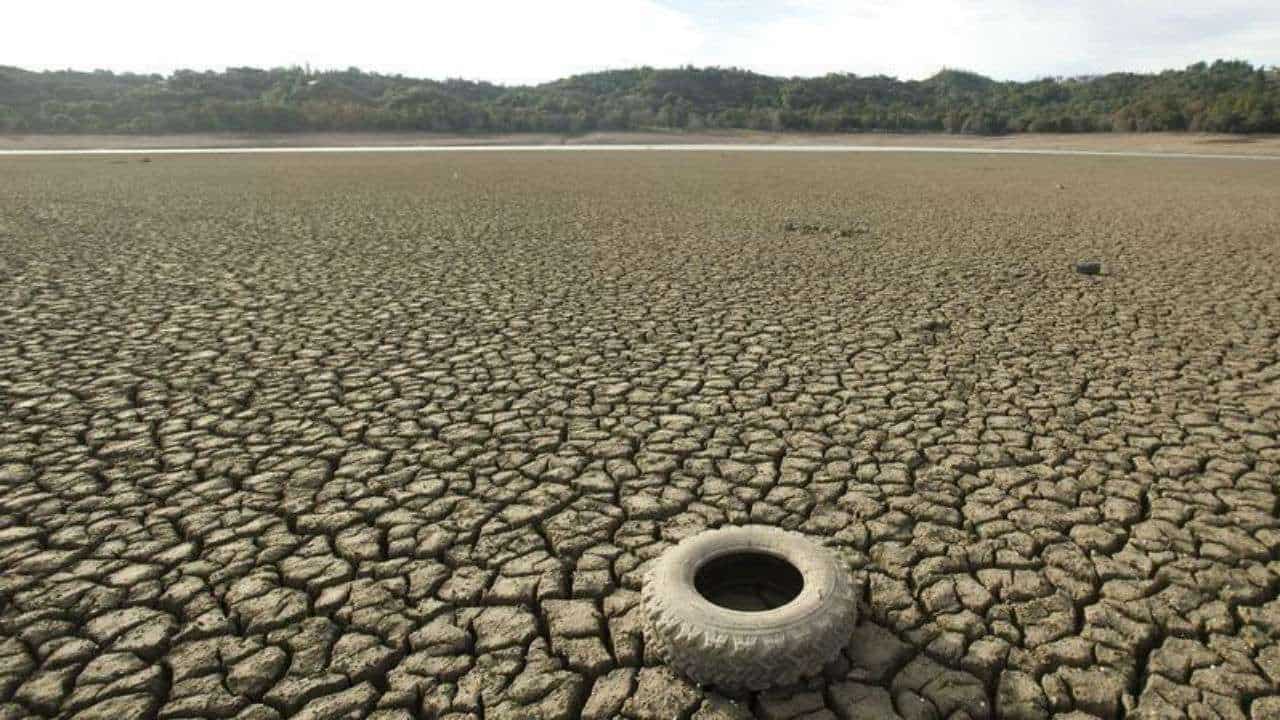 75-80 per cent chance of El Nino in next 3 months: UN 75-80 per cent chance of El Nino in next 3 months: UN