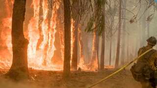 'Whole town is burning': Residents flee Northern California wildfire