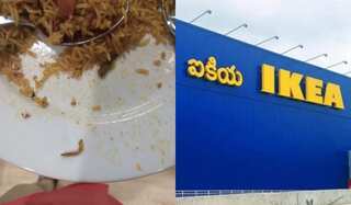 Caterpillar found in IKEA's food store in Hyderabad