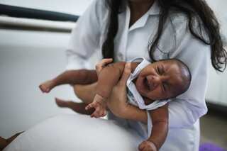 Japanese scientists develop new tool to predict spread of Zika virus
