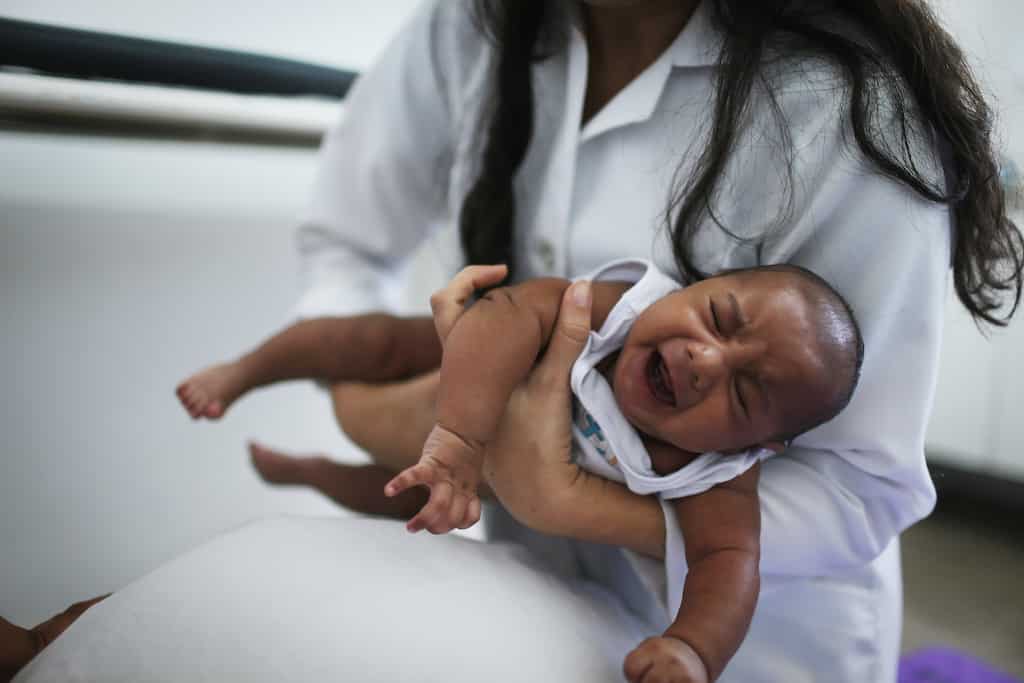 Rats nibble on newborn's fingers in Rajasthan hospital